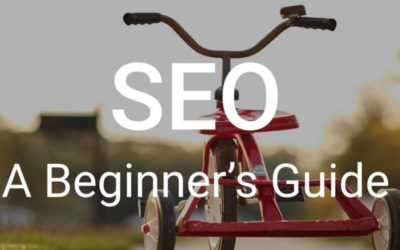 The Basics of Improving Your Local Calgary Search Rank Position