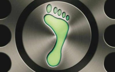 Studies Have Revealed Using The Internet Contributes to Almost 4% of Global Carbon Emissions!